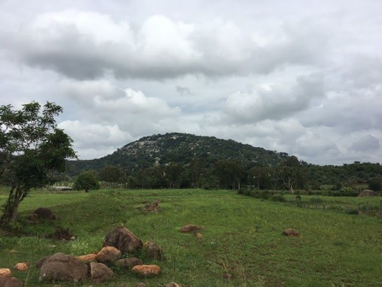 Swamimalai Hills-4